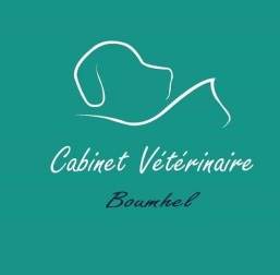 Dr. Ilhem BEN JOUIDA